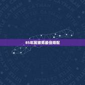85年属猪男最佳婚配，83年男属猪和85年女属牛配么？