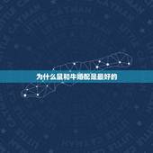 为什么鼠和牛婚配是最好的，男属鼠女属牛婚配如何
