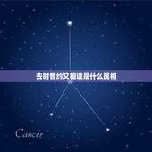 去时曾约又相逢是什么属相，去时曾约又相逢是什么生肖？