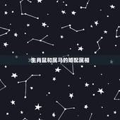 生肖鼠和属马的婚配属相，属老鼠的和属马的结婚相配吗？