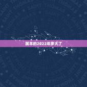 属羊的2022年多大了，属羊人2022年运势运程
