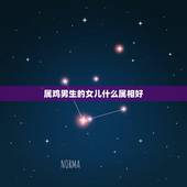 属鸡男生的女儿什么属相好，男属鸡女属猪生个什么属相的孩子最好？