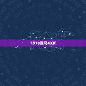 1978属马43岁，78年属马43岁会遇上什么灾难