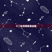 十二生肖婚配表全解，生肖配对表