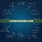 小乌龟适合放在家里什么位置，小乌龟放在家里的什么地方镇宅又旺财啊？