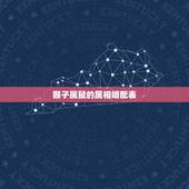 猴子属鼠的属相婚配表，猴子跟什么属相相配