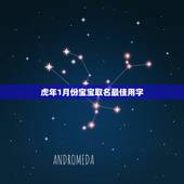 虎年1月份宝宝取名最佳用字 2022最火男宝宝名字