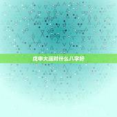 戊申大运对什么八字好，大师！乾造壬午年壬寅月壬戌日戊申时的八字，大运癸