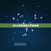 2022年必定生儿子的生肖 2022年喜得贵子的生肖