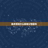 属虎哥和什么属相父母配吗，爸妈是属虎的，儿子属牛的，这两个属相合得来吗