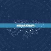 婚配龙虎属相合吗，生肖龙和虎相配吗？
