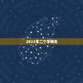 2022年二个字网名，2021更流行网名两个字