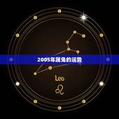 2005年属兔的运势，1975年属兔的哪一年运气好