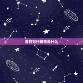 蕊的五行属性是什么，蕊字带五行里的水吗？