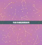 马和马相配婚姻如何，马跟马婚姻相配财运如何