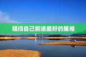 阻挡自己前途最好的属相，在当今紧张的社会中，12生肖最有发展前途的是哪