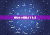 蛇和蛇的属相合不合适，属蛇人和什么属相不合