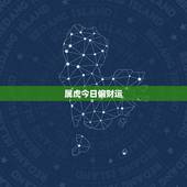 属虎今日偏财运，属虎的人那个月偏财运比较好