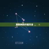 发财树的扦插方法，发财树的繁殖方法是什么？
