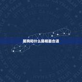 属狗和什么属相最合适，属狗的与什么生肖的最相配