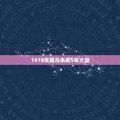 1978年属马未来5年大运，属马1978年43走大运