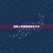 属猴上等婚配属相合不合，属猴的和什么属相不配