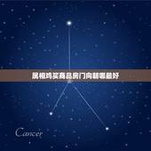 属相鸡买商品房门向朝哪最好，属鸡之人大门朝向哪个方位是吉方
