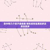 命中有几个孩子查询表 明年虎年生男孩多还是女孩多