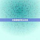 夫妻感情好怎么形容，形容“两夫妻感情好相互扶持”的成语有哪些？