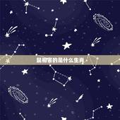 鼠相害的是什么生肖，鼠羊相害是什么意思