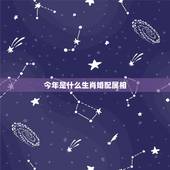 今年是什么生肖婚配属相，十二生肖婚配:属相合婚配对表