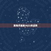 属兔天蝎座2022年运势，75年属兔，O型血，天蝎座，今年要运势如何？