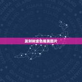发财树金色唯美图片，一个图片 是一个家和一匹马一棵发财树，求一个最美的