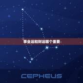 事业运和财运哪个重要，服务好的八字看财运