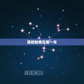 属蛇劫难在哪一年，属蛇2022年谁都躲不过的劫难