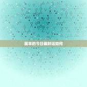 属羊的今日偏财运如何，属羊1991.03.28的今年运势如何