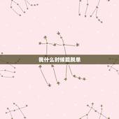 我什么时候能脱单，我什么时候能脱单