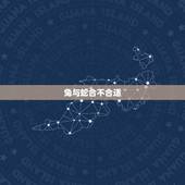 兔与蛇合不合适，蛇和兔子属相合不合