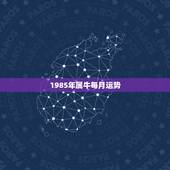 1985年属牛每月运势，85年属牛人11月份运势