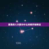 属兔的人大部分什么时候开始转运，属兔的人今年多大