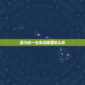 属马的一生命运婚姻怎么样，属马几月命苦