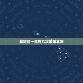 属蛇的一生有几次婚姻状况，鼠男狗女一生婚姻状况