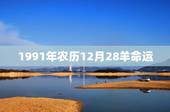1991年农历12月28羊命运，2012年女龙一生的命运