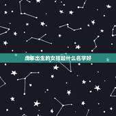 虎年出生的女孩起什么名字好 属虎女孩高雅有涵养的名字