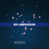 属牛人最苦命出生月份，属牛哪个月份出生好
