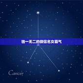 独一无二的微信名女霸气，想要一个小清新、优雅的微信名，最好独一无二。