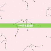 195几年属虎的，请问197几年是属虎的？