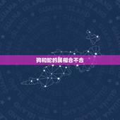 狗和蛇的属相合不合，蛇与狗能否共事