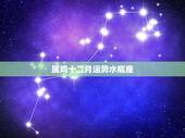 属鸡十二月运势水瓶座，属鸡水瓶座是什么性格