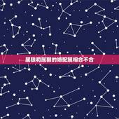 属狼和属猴的婚配属相合不合，属猴的跟什么属相比较和，什么属相不和？